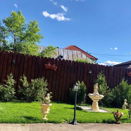 Casa Alexia Otel Haţeg Dış mekan fotoğraf