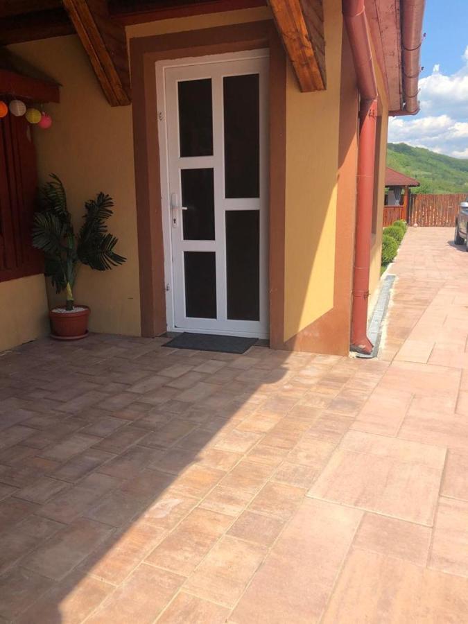 Casa Alexia Otel Haţeg Dış mekan fotoğraf