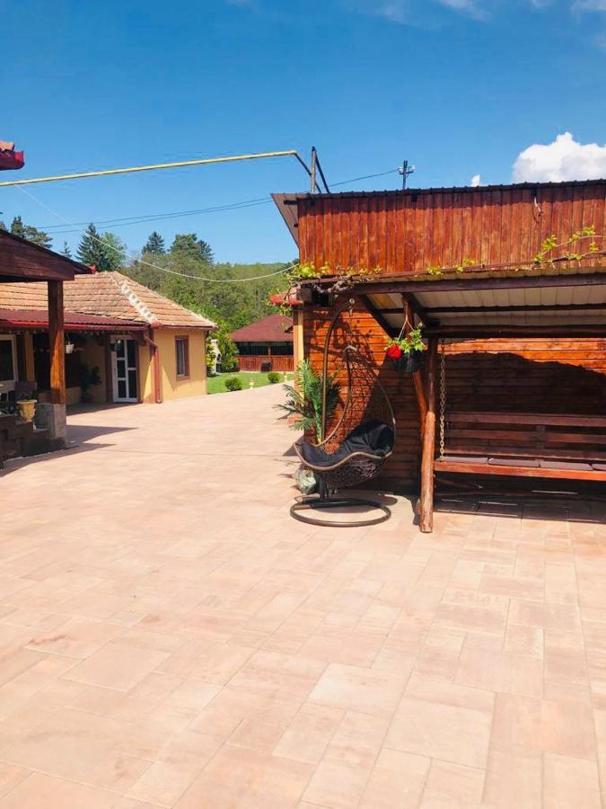 Casa Alexia Otel Haţeg Dış mekan fotoğraf