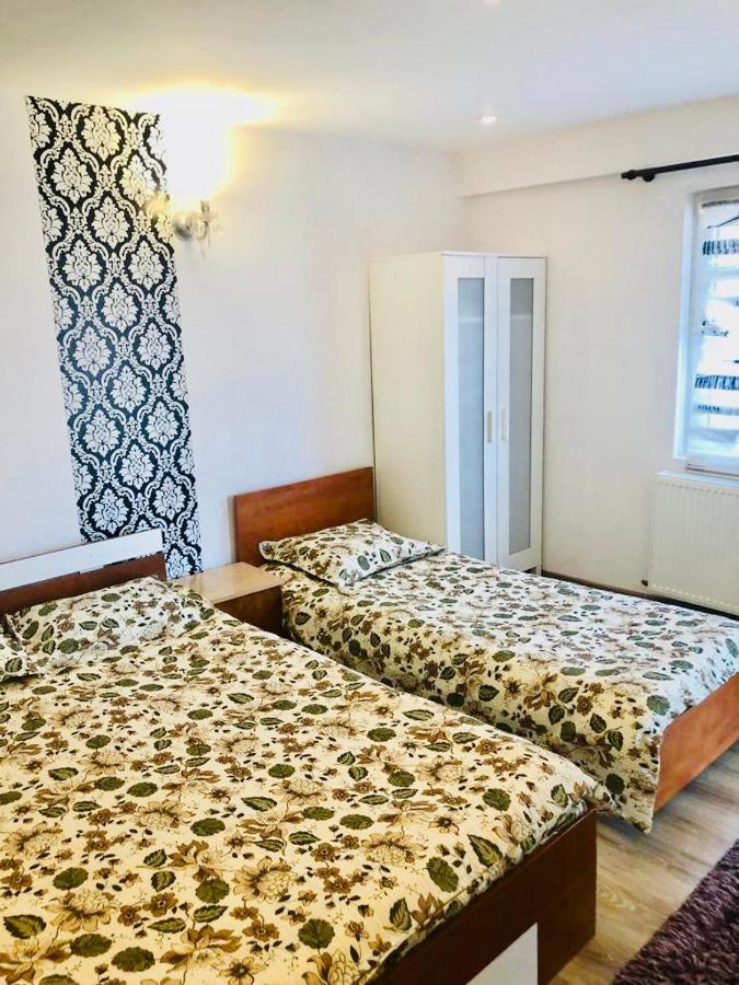 Casa Alexia Otel Haţeg Dış mekan fotoğraf