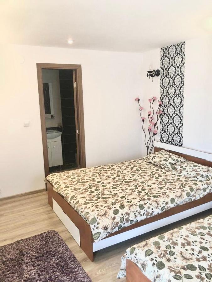 Casa Alexia Otel Haţeg Dış mekan fotoğraf
