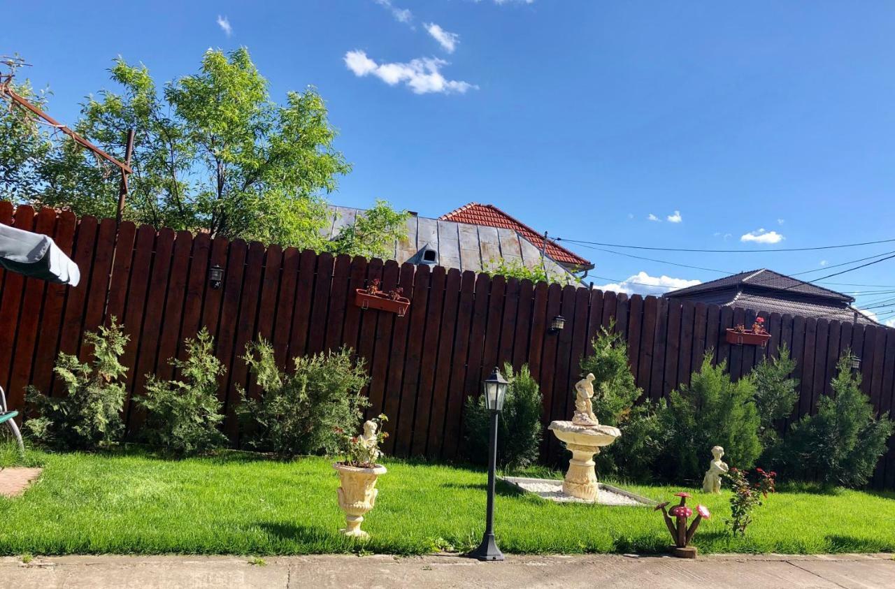 Casa Alexia Otel Haţeg Dış mekan fotoğraf